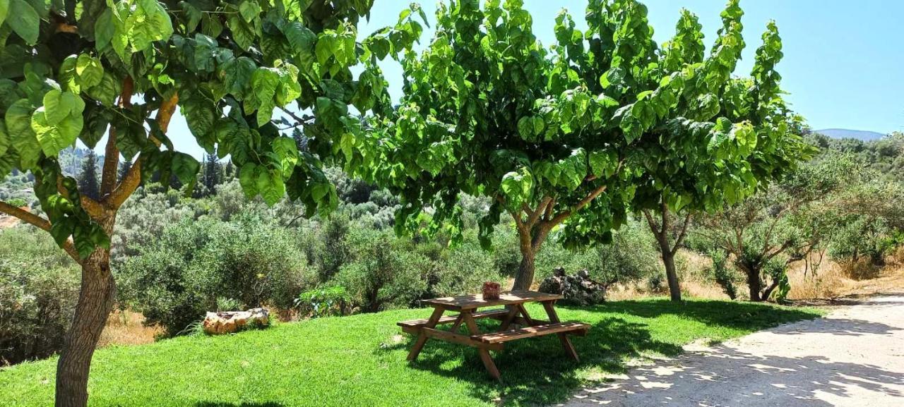 Lily Home_Lefkada ~ Private Country House Kondaraíni Eksteriør billede