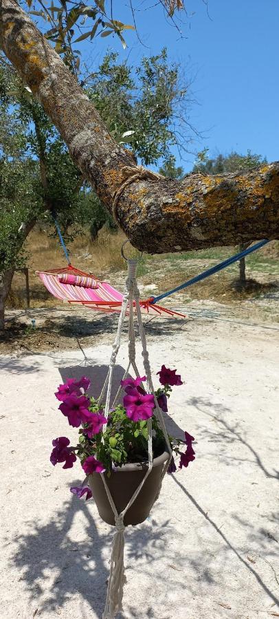 Lily Home_Lefkada ~ Private Country House Kondaraíni Eksteriør billede