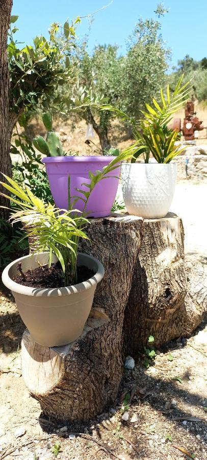 Lily Home_Lefkada ~ Private Country House Kondaraíni Eksteriør billede