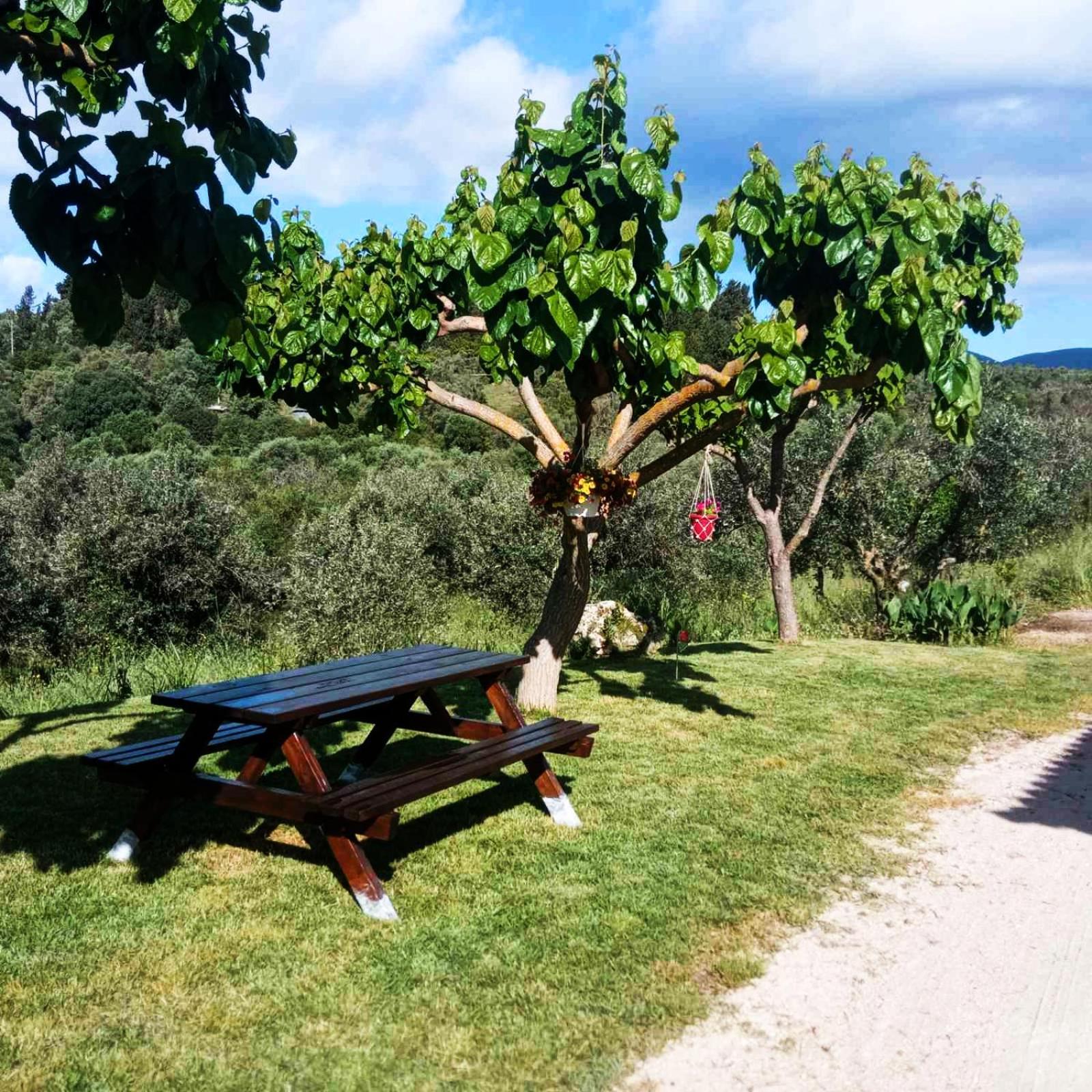 Lily Home_Lefkada ~ Private Country House Kondaraíni Eksteriør billede