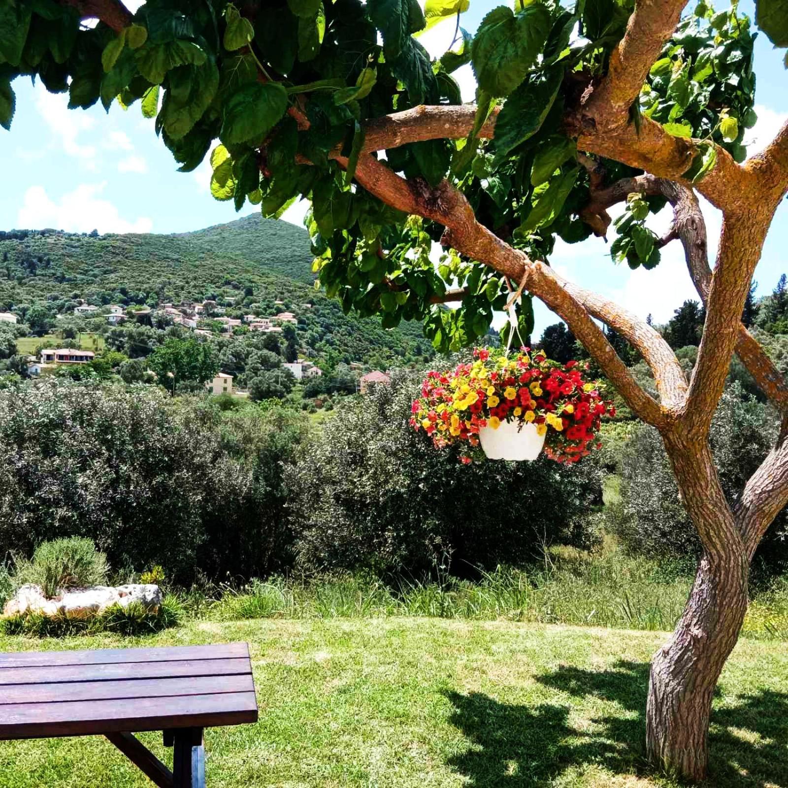 Lily Home_Lefkada ~ Private Country House Kondaraíni Eksteriør billede